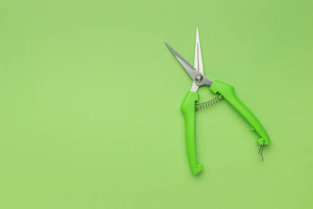 Secateurs on wooden background, top, view