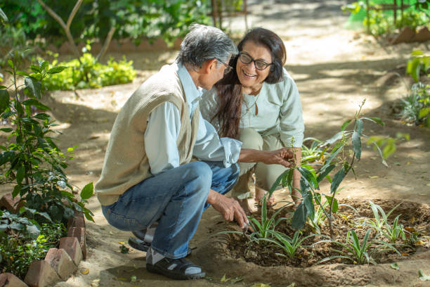 istock Smiling retired couple gardening together in backyard 2126862190