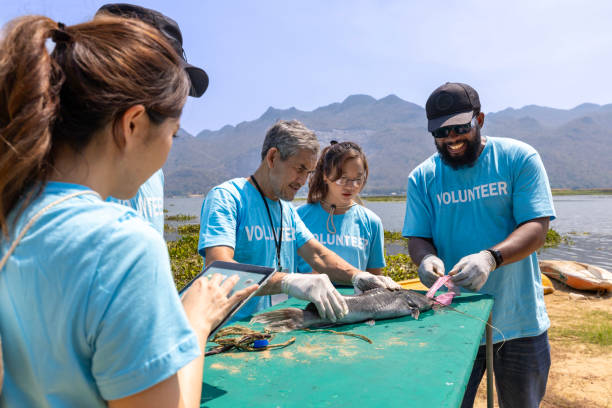 istock Team of ecologist volunteer pulling non biodegradable micro plastic from the endanger species fish due to the irresponsible waste littering into the ocean for climate change and saving nature 2126862198