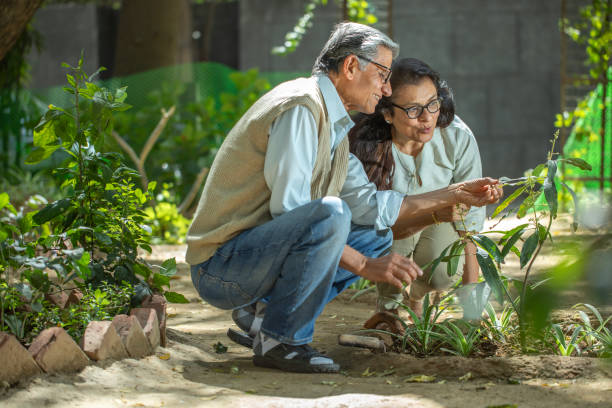 istock Smiling retired couple gardening together in backyard 2126862709
