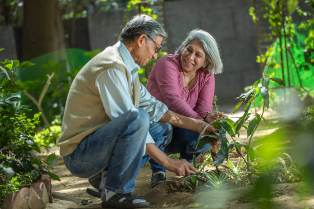 istock Smiling retired couple gardening together in backyard 2126864249