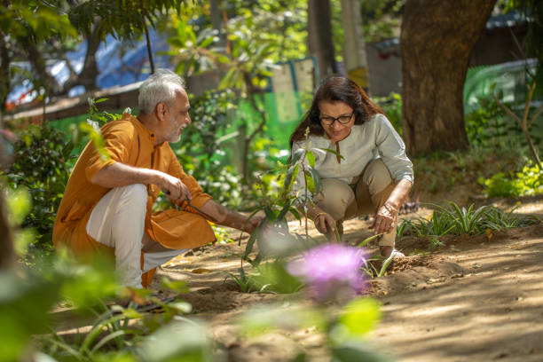 istock Smiling retired couple gardening together in backyard 2126864766