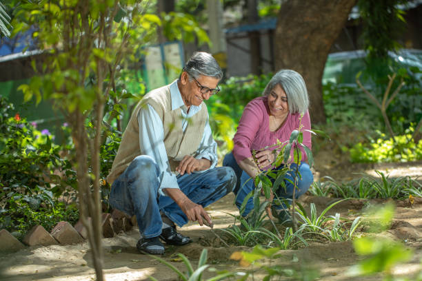 istock Smiling retired couple gardening together in backyard 2126866807