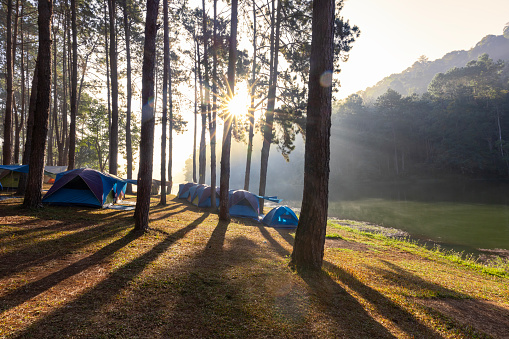 Group of tents for overnight camping with sunrise over misty mountain and ray of light and campsite of Pang Oung, Mae Hong Son, Thailand