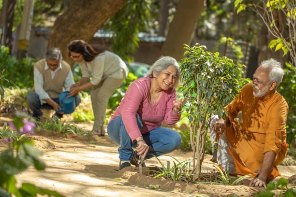 istock Retired couple gardening together in backyard 2126885292