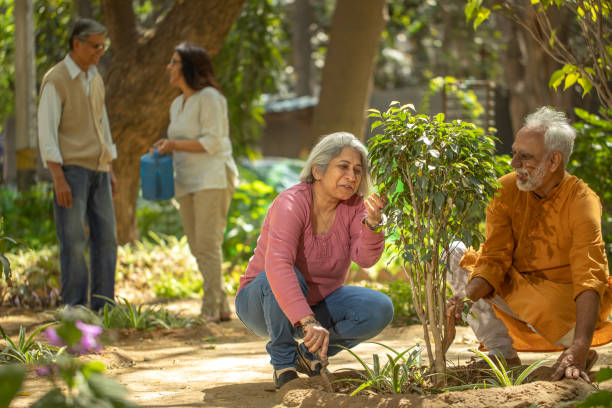 istock Retired couple gardening together in backyard 2126885808