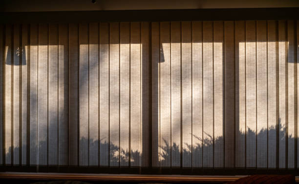 istock Vertical blinds covered window with silhouette shadows 2126886318