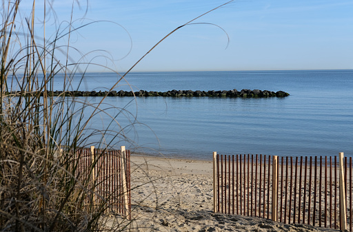 Chesapeake Bay sand dune protection by fencing
