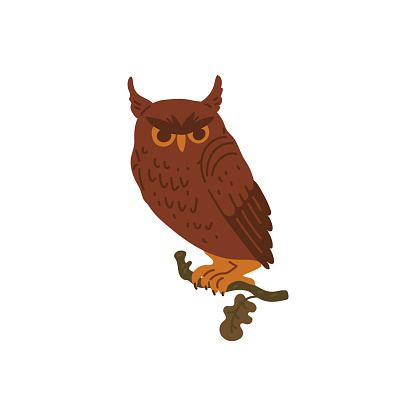 Perched brown owl with intricate feather details vector illustration, isolated on a white background.