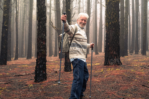 Active happy senior man with backpack walking in mountain forest on a foggy day with the help of poles enjoying nature, freedom and free time. Forest background with bare trees
