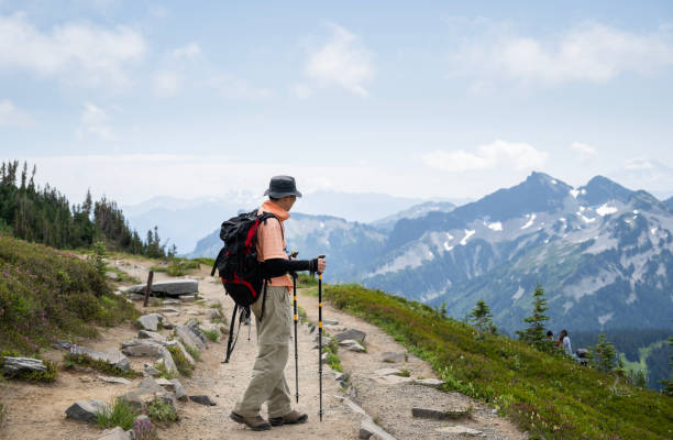istock Hiking Skyline Loop Trail in summer. Unrecognizable people on the trail. Mt Rainier National Park. Washington State. 2126965721
