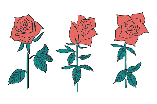 Illustration of stylish and elegant red roses (3 kinds).