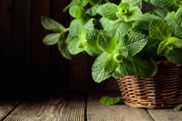 Fresh mint in a basket on an old wooden table.  Copy space.