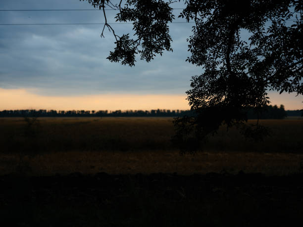 Nature travel landscape trees lifestyle. High quality photo