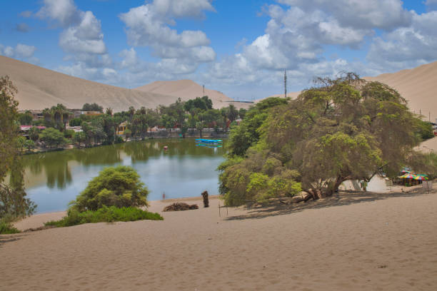 Huacachina Oasis. With sand dunes, date palms, lagoon. Peru. Desert