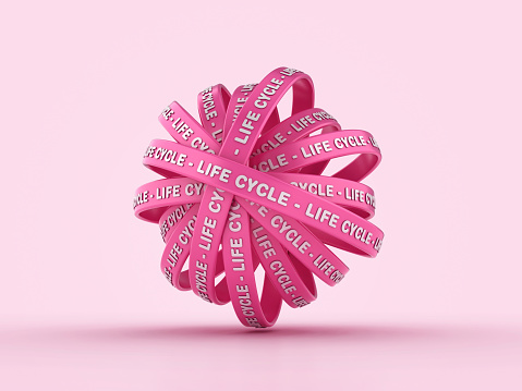 Circular Ribbons with LIFE CYCLE Words - Colored Background - 3D Rendering