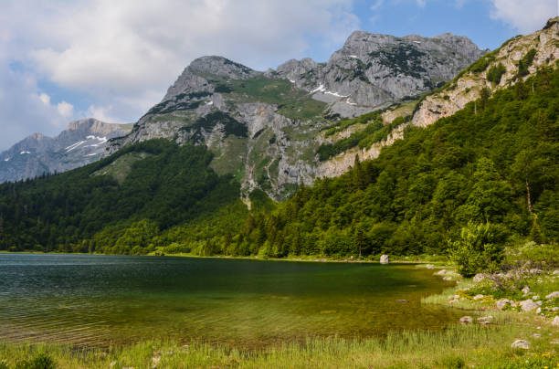 Piva National Park stock photo