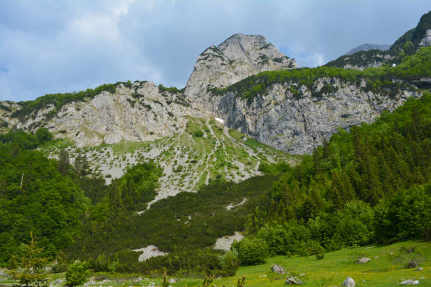 Piva National Park stock photo