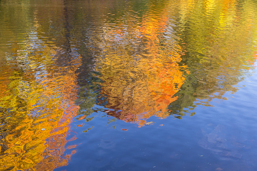 abstract reflections of trees with autumn foliage in the water