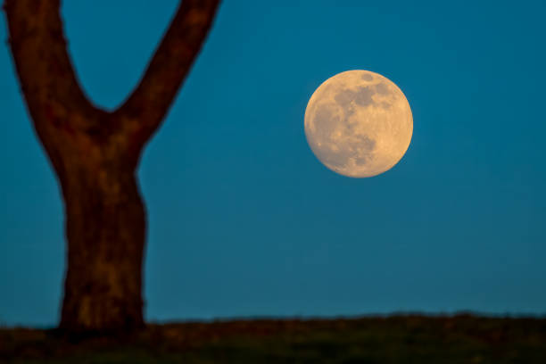 istock Bright moon in blue sky in the evening 2127228067