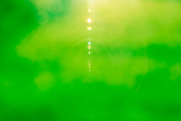 Green bokeh background with sunlight reflects in the middle