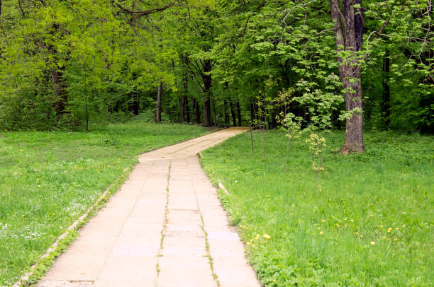 Stone paving block walk path and road in the spring park