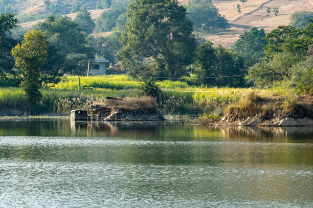 istock isolated pristine lake side farming view at morning from flat angle 2127373248