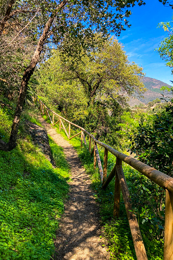 Hiking in Nieves natural park, Andalusia, Spain