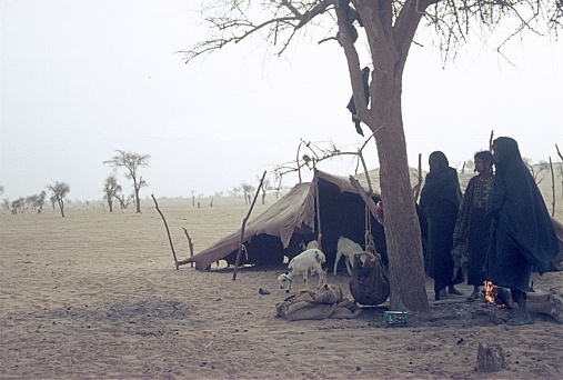 Mauritania (Morocco), Western Sahara, 1973. Bedouins in their camp in West Sarah.