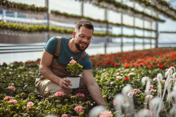 istock Male Florist Working in Garden Center 2127420736