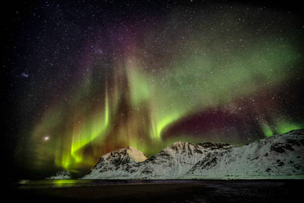 Northern lights aurora on Lofoten, Norway
