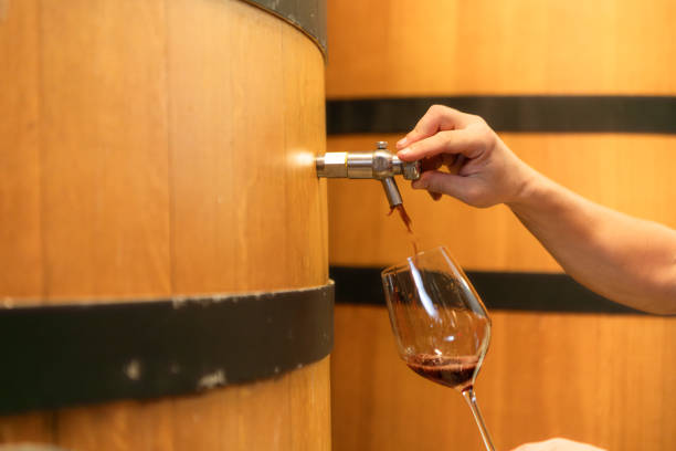 istock Mature male researchers and developers working in winery, Testing wine that has been fermented for a while. 2127466228