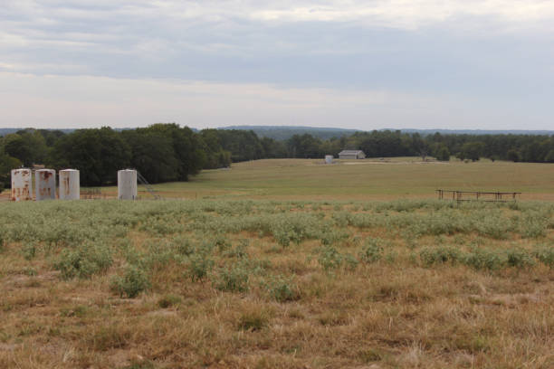 istock a field with some small fence posts and many trees on it 2127470495