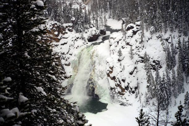 Lower Falls at Grand  Canyon of the Yellowstone in Yellowstone National Park during autumn in Wyoming, USA