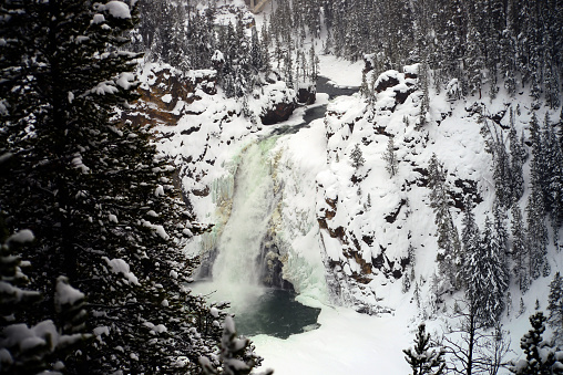 An enchanting image of a powerful waterfall cascading through a snow-covered landscape, cutting through the rugged cliffs surrounded by pine trees