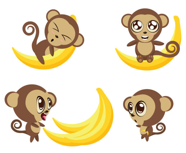 Monkey with Banana Set of cartoon funny monkeys with big banana in different expressions and poses. clip art of a monkey holding banana stock illustrations