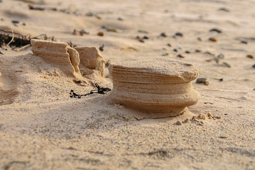 Natural sand sculptures made by wind on the Baltic sea beach. Gulf of Riga in Latvia Landscape. Blue Sky and sea on the background. Copy Space. Selective focus.