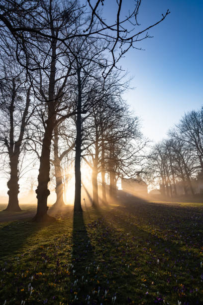 Early morning sunlight in Guildford Surrey England Europe