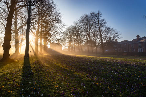 Early morning sunlight in Guildford Surrey England Europe