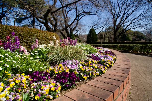 istock Flower beds in the park in spring 2127593160