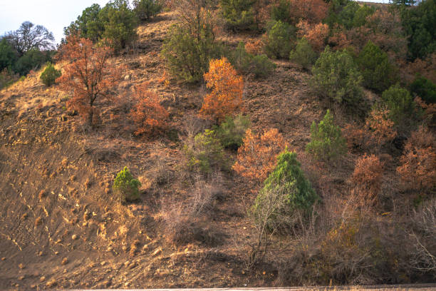 Amidst the mountainous terrain, lush bushes adorn the hillsides, creating a scenic and rugged landscape in harmony with nature's beauty.