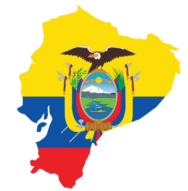 zarys mapy ekwadoru wraz z regionami - parcel tag stock illustrations