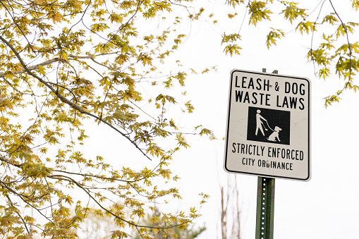 A sign showing that dogs must be leashed