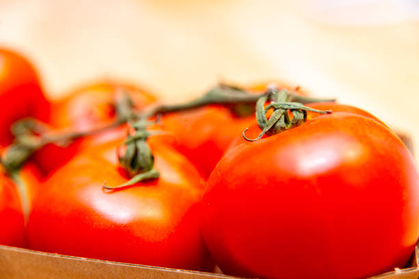 Vibrant red tomatoes on vine, filling frame with freshness and ripe texture in a close-up shot