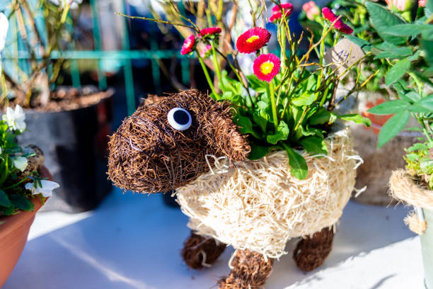 Two fluffy toy sheep