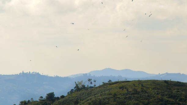 Beautiful sunset in Colombia with mountains colors and some clouds at La Ceja Colombia near to Medellin