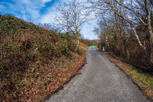 istock Narrow asphalt road in the autumn forest. 2127780504