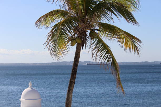 landscape photo