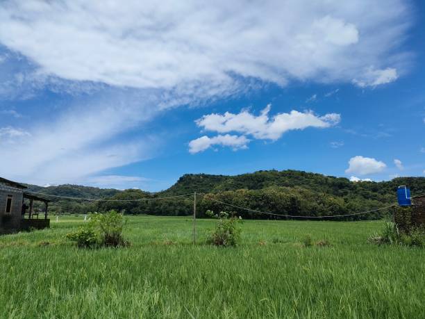 istock enchanting natural views in a tropical country 2127849178