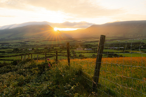 Scenic view of  idyllic Irish countryside in summer at sunset. Kerry county